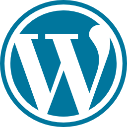 Best Web Designing Company in IT WIZ INFOTECH